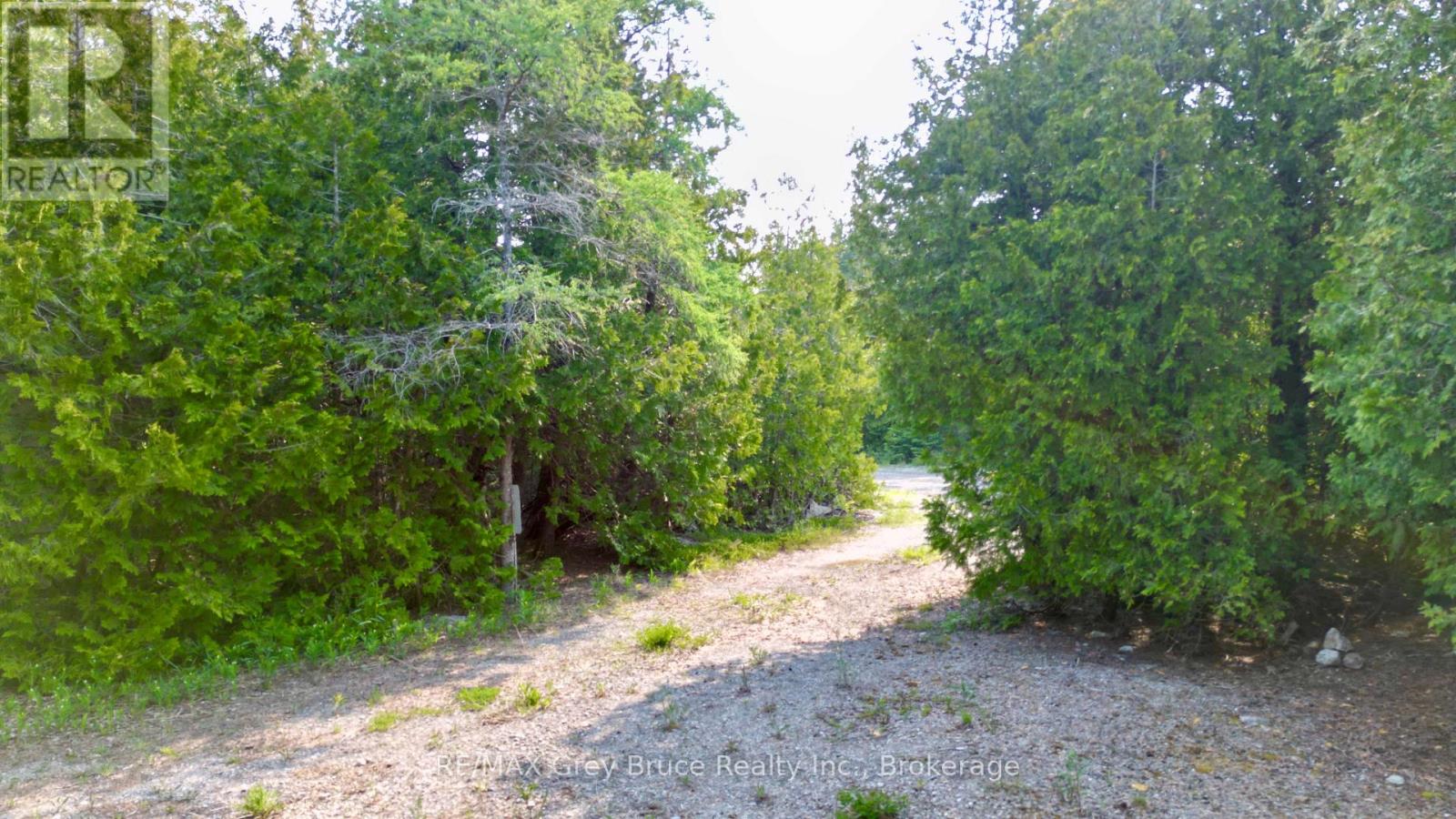 94 Pedwell Pt. Drive, Northern Bruce Peninsula, Ontario N0H 2R0 - Photo 3 - X12058098