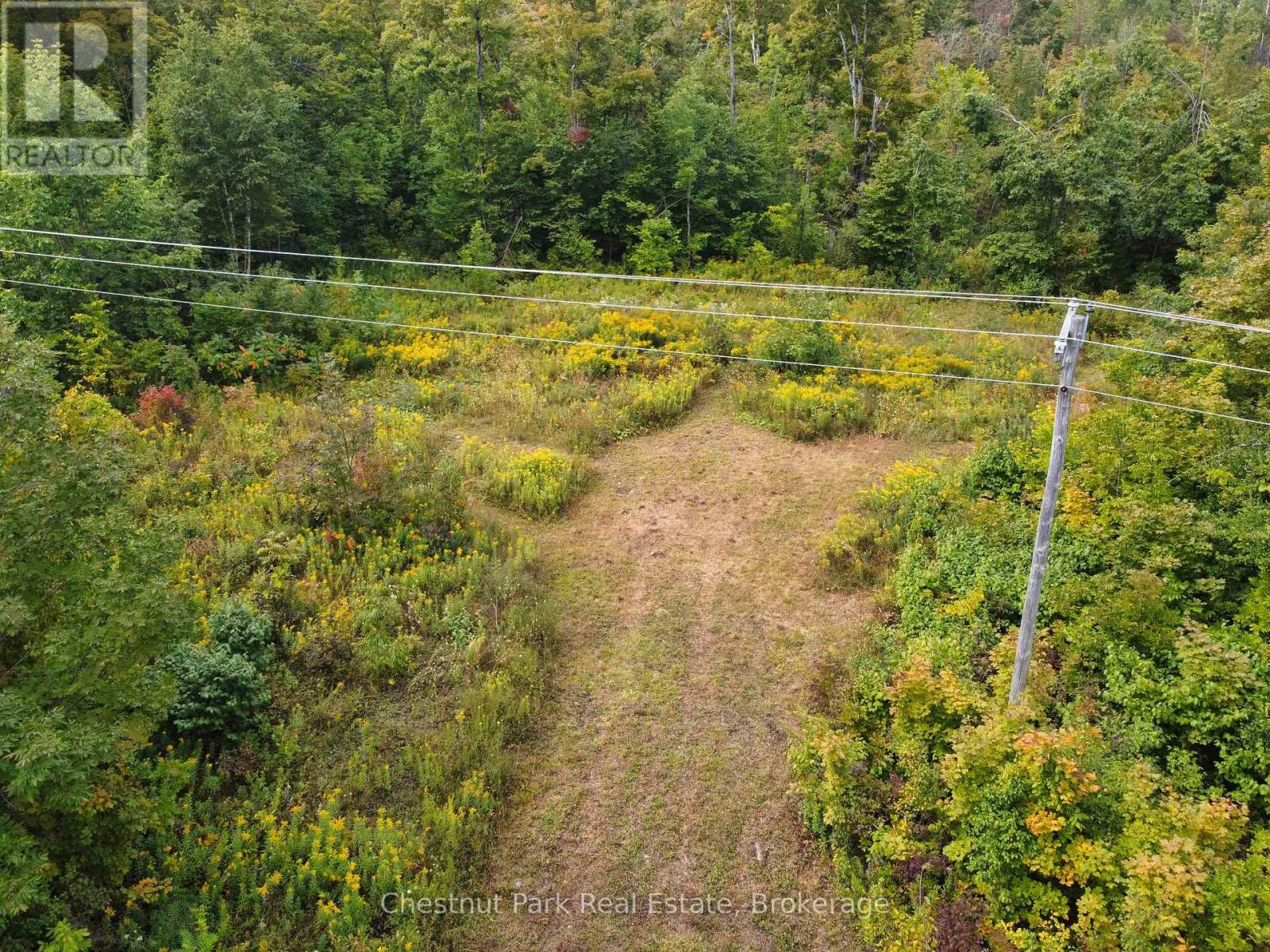 249 Wrights Crescent, South Bruce Peninsula, Ontario N0H 2T0 - Photo 6 - X12091988