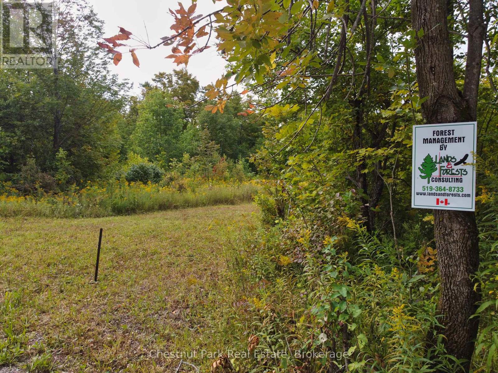 249 Wrights Crescent, South Bruce Peninsula, Ontario N0H 2T0 - Photo 7 - X12091988