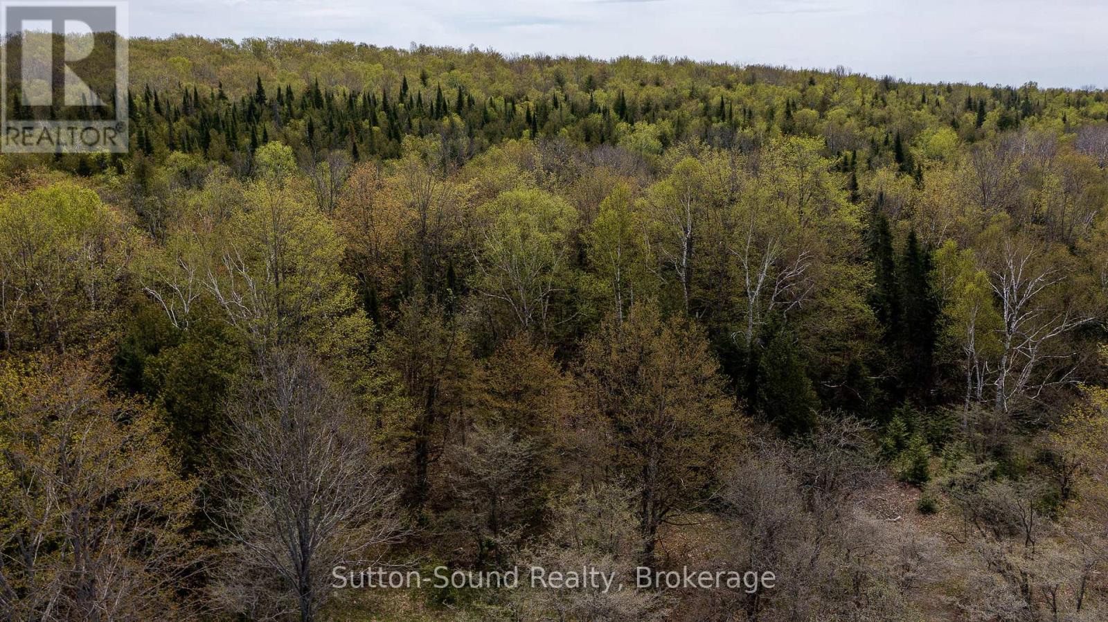 502054 Grey Rd 1 999 Road, Georgian Bluffs, Ontario N0H 2T0 - Photo 4 - X12487378