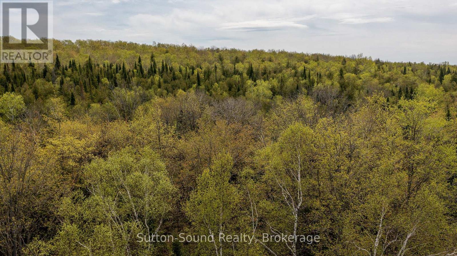 502054 Grey Rd 1 999 Road, Georgian Bluffs, Ontario N0H 2T0 - Photo 5 - X12487378