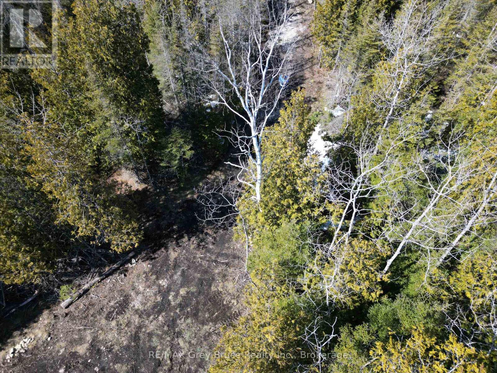31 Baise Avenue, Northern Bruce Peninsula, Ontario N0H 2R0 - Photo 7 - X12526086