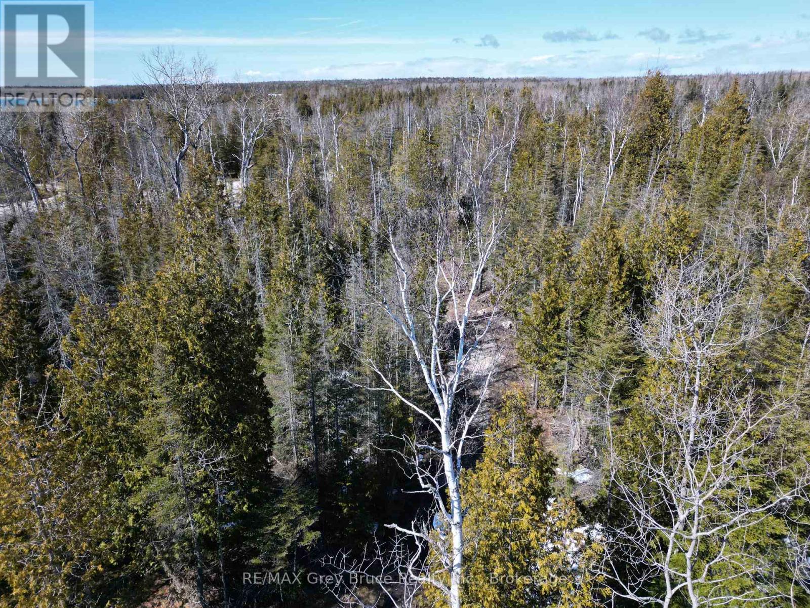 31 Baise Avenue, Northern Bruce Peninsula, Ontario N0H 2R0 - Photo 8 - X12526086