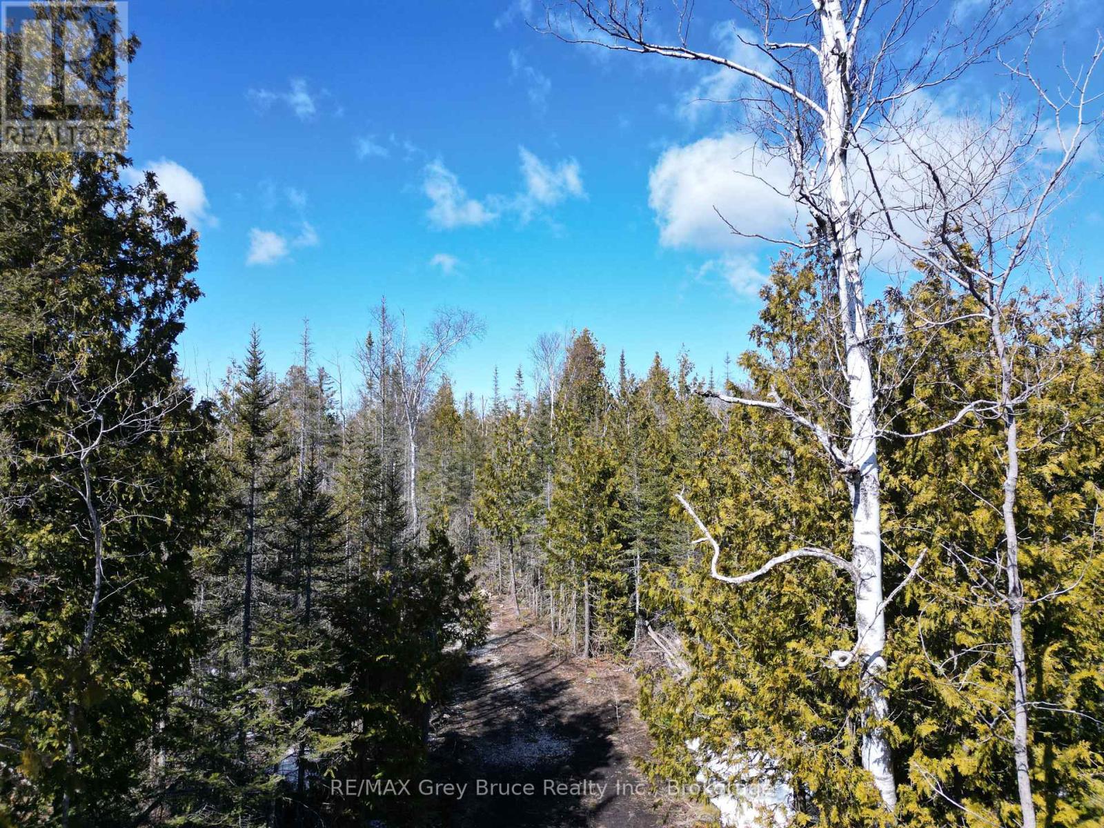 31 Baise Avenue, Northern Bruce Peninsula, Ontario N0H 2R0 - Photo 9 - X12526086