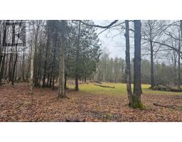 PT LT 1 CONCESSION RD 21 ROAD, Georgian Bluffs, Ontario