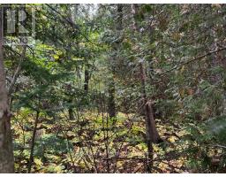 7 SHORE ROAD, Saugeen Shores, Ontario