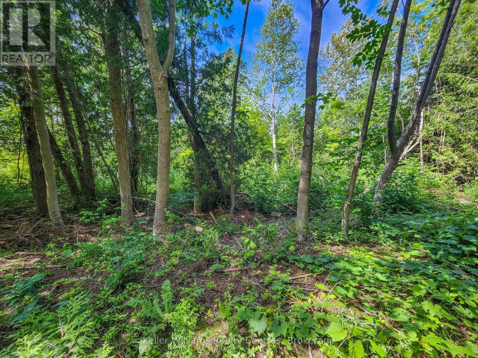 151 Mallard Street, Georgian Bluffs, Ontario N0H 2T0 - Photo 3 - X12724796