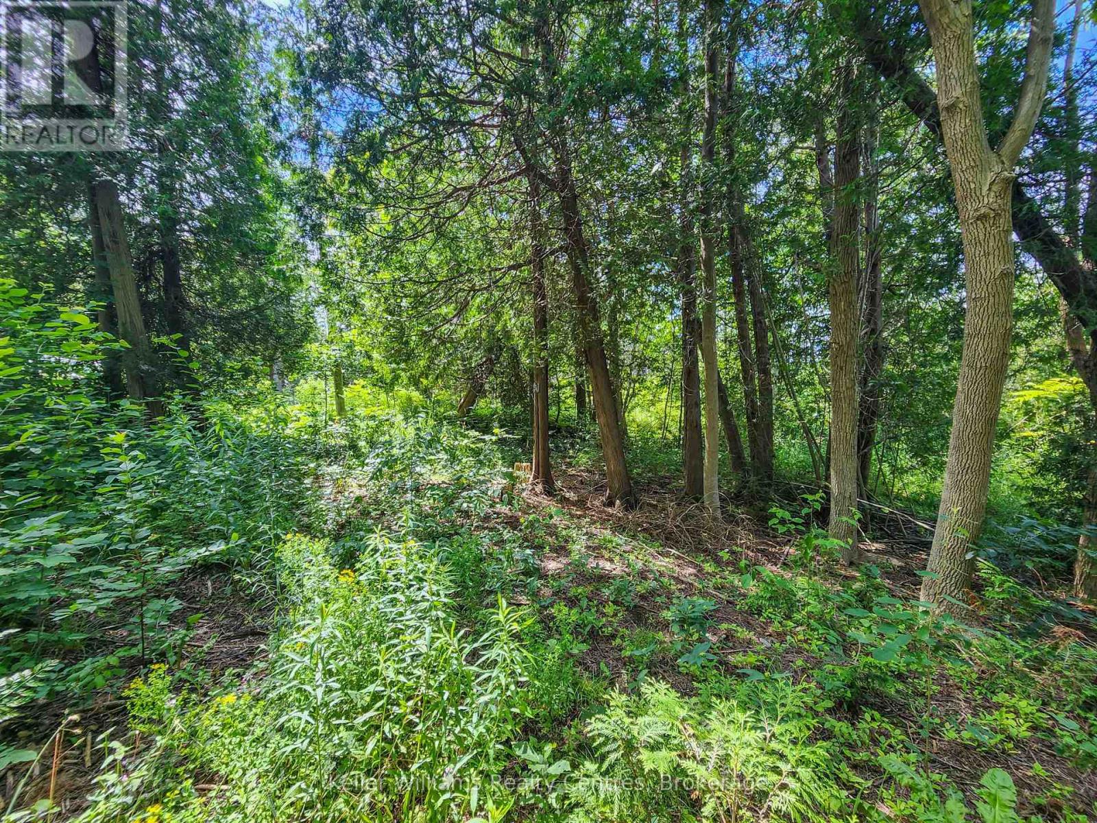 151 Mallard Street, Georgian Bluffs, Ontario N0H 2T0 - Photo 4 - X12724796