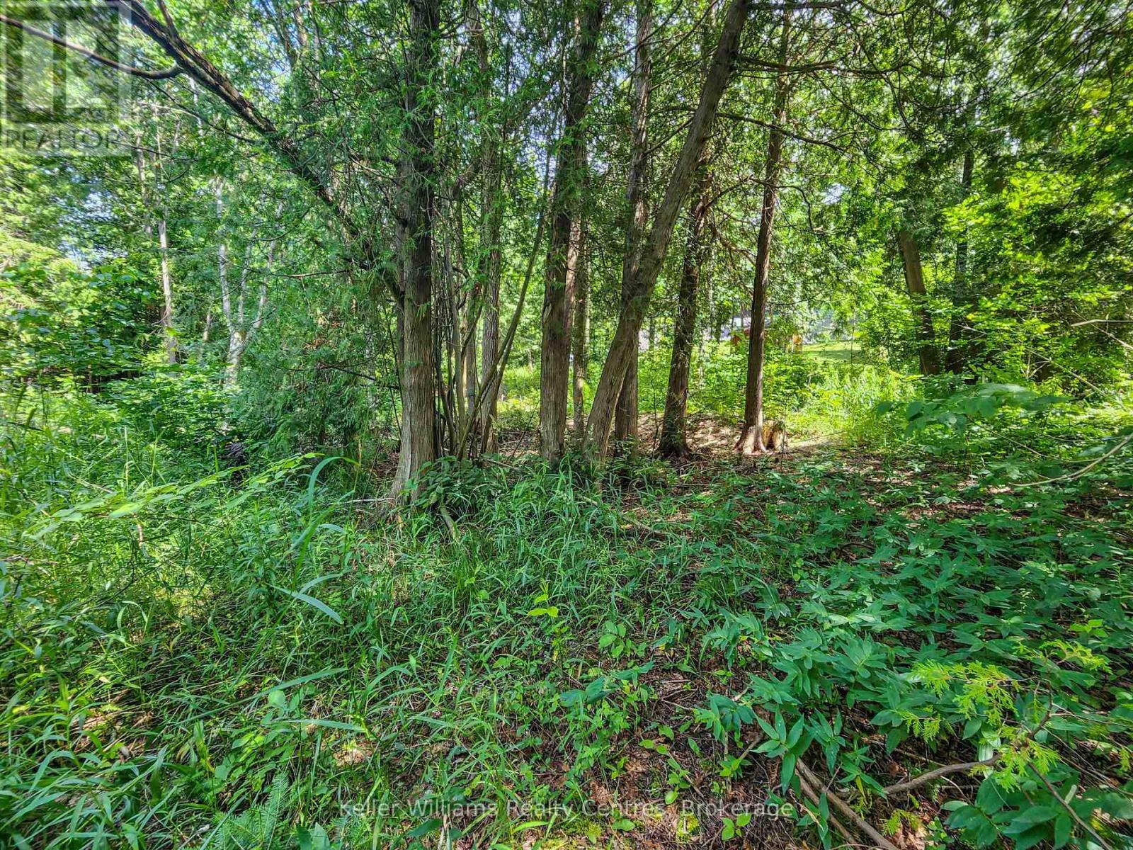 151 Mallard Street, Georgian Bluffs, Ontario N0H 2T0 - Photo 5 - X12724796