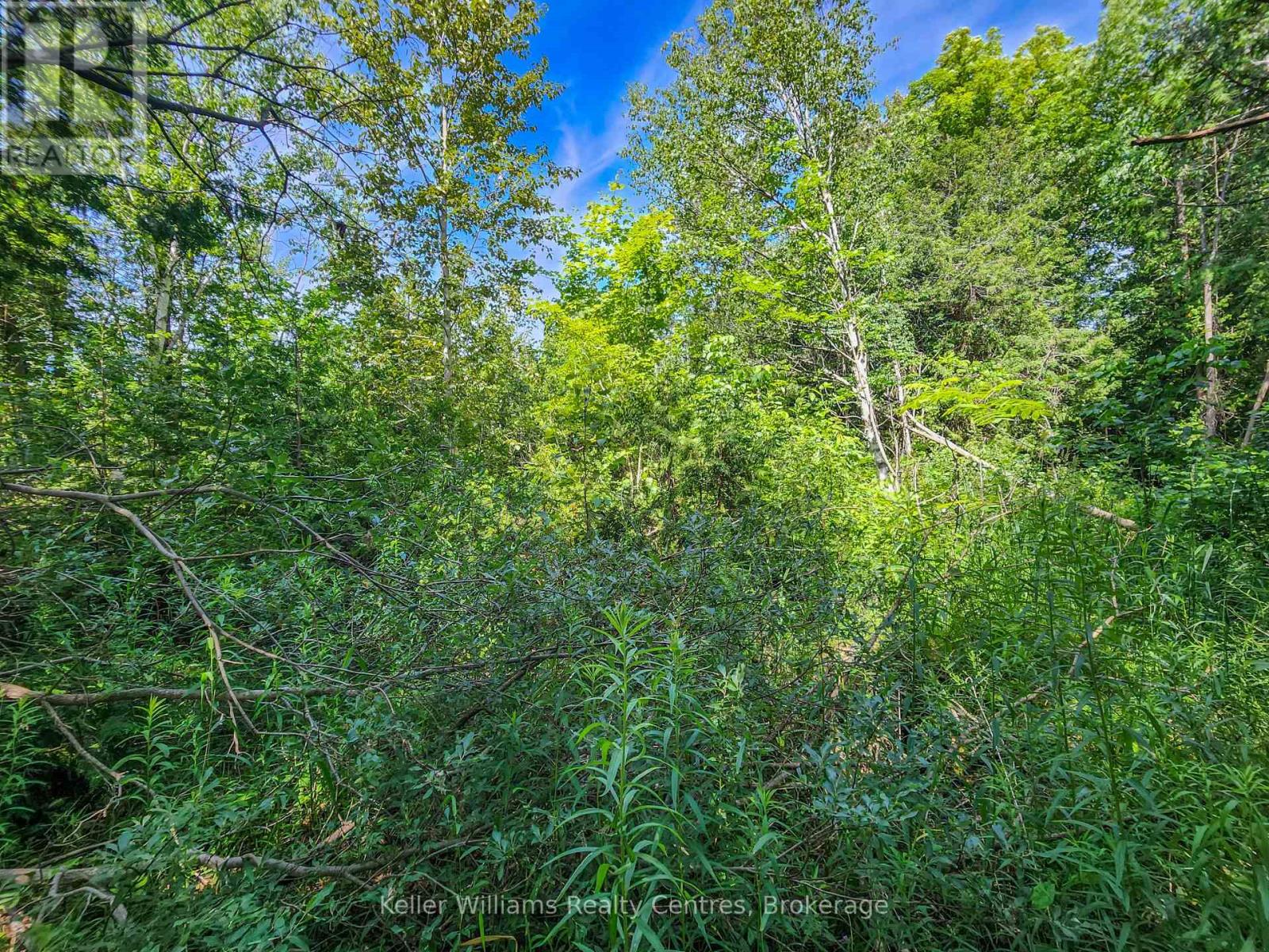 151 Mallard Street, Georgian Bluffs, Ontario N0H 2T0 - Photo 6 - X12724796