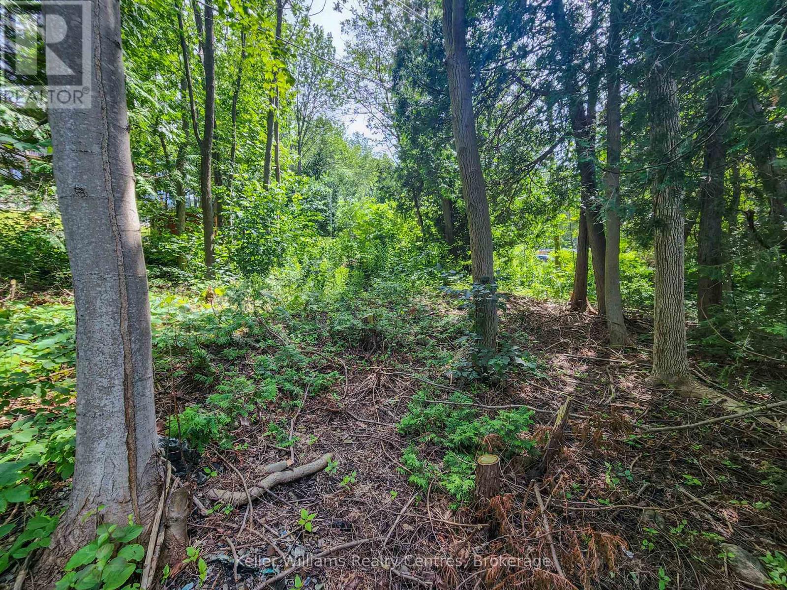 151 Mallard Street, Georgian Bluffs, Ontario N0H 2T0 - Photo 7 - X12724796