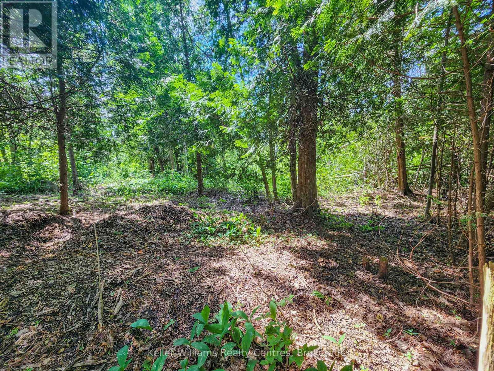 151 Mallard Street, Georgian Bluffs, Ontario N0H 2T0 - Photo 8 - X12724796