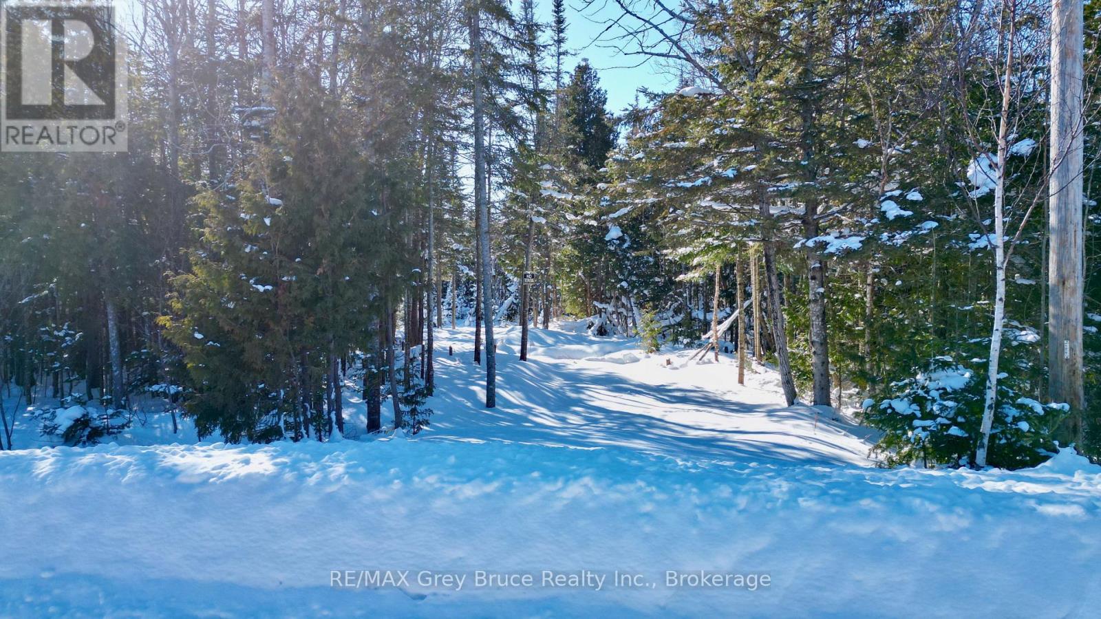 Lot 22 Ray Drive, Northern Bruce Peninsula, Ontario N0H 2R0 - Photo 9 - X12728198