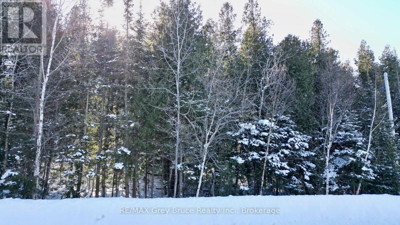 Lot 30 Myles Drive, Northern Bruce Peninsula, Ontario N0H 2R0 - Photo 2 - X12728236