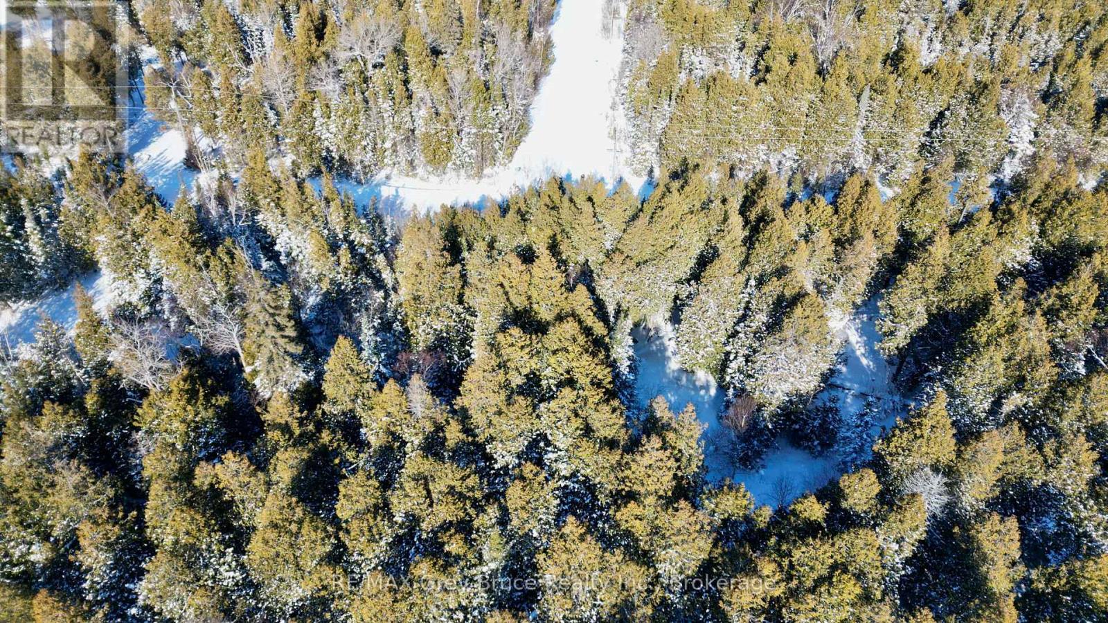 Lot 30 Myles Drive, Northern Bruce Peninsula, Ontario N0H 2R0 - Photo 6 - X12728236