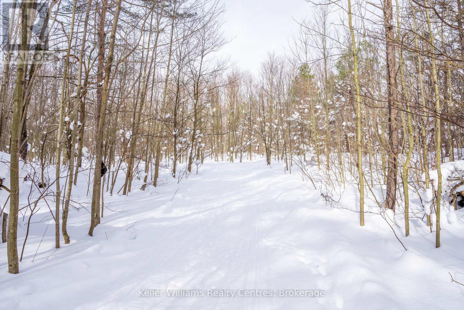 Lot 16 Grey Road 17, Georgian Bluffs, Ontario N0H 2T0 - Photo 3 - X12763134