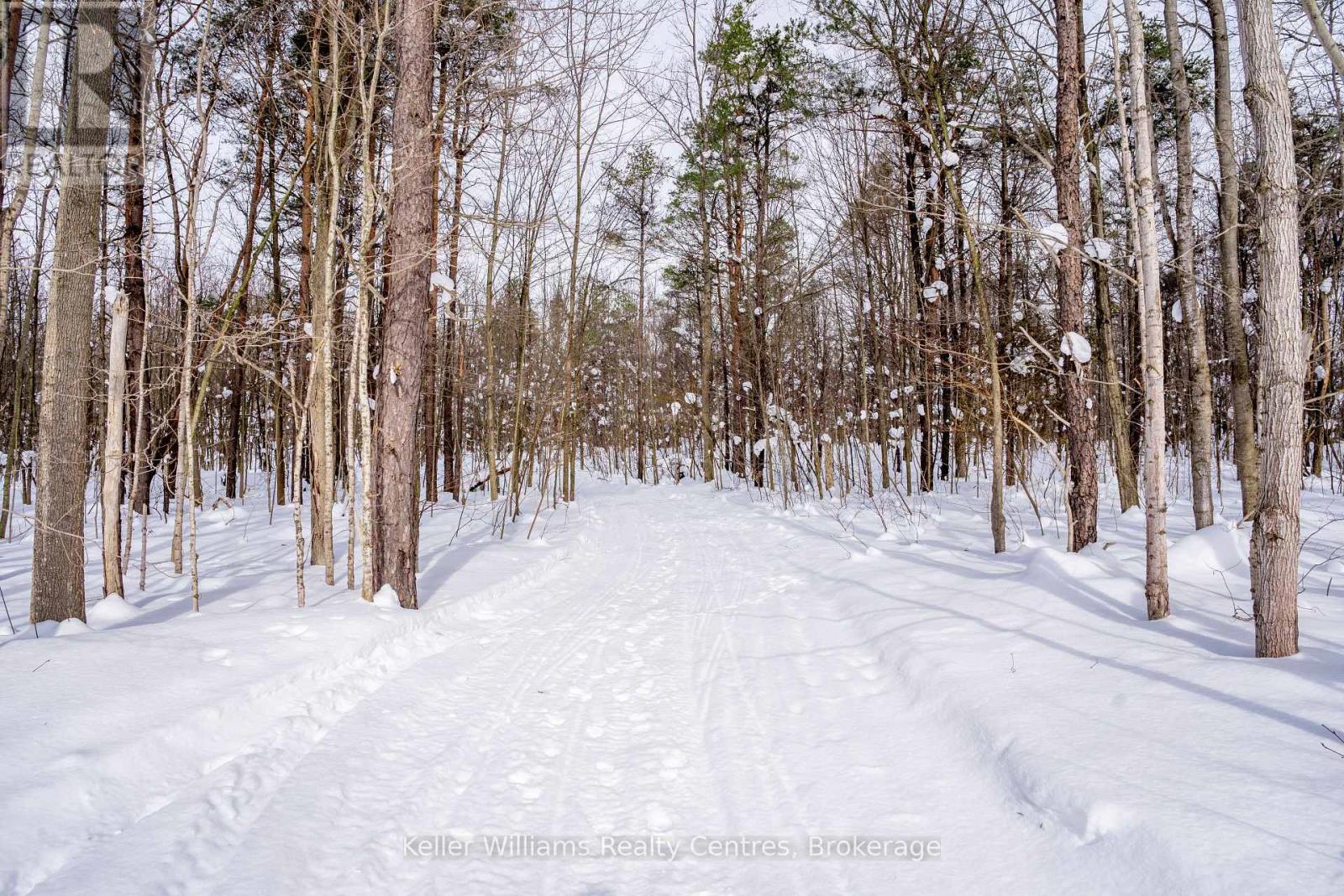 Lot 16 Grey Road 17, Georgian Bluffs, Ontario N0H 2T0 - Photo 4 - X12763134