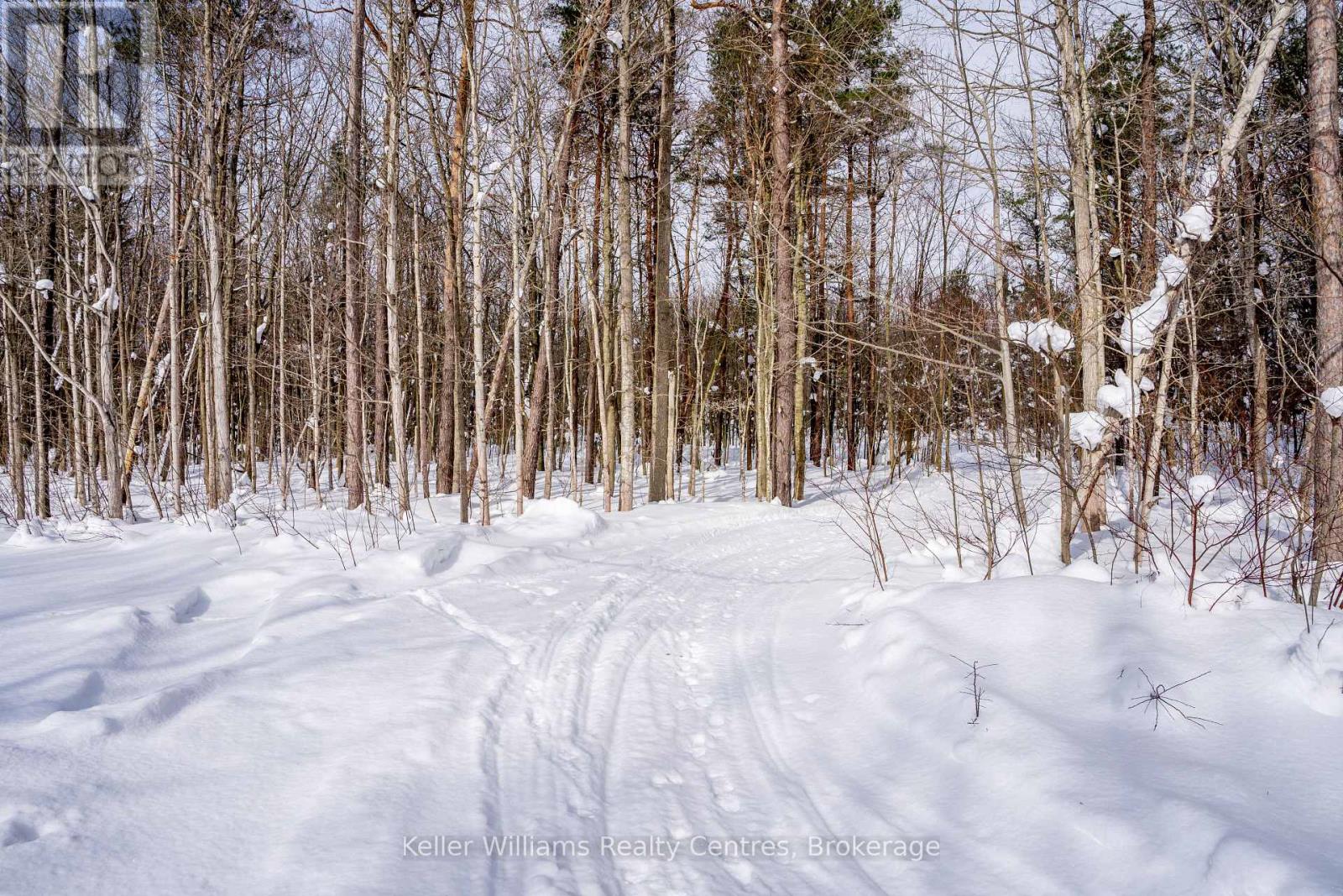 Lot 16 Grey Road 17, Georgian Bluffs, Ontario N0H 2T0 - Photo 5 - X12763134