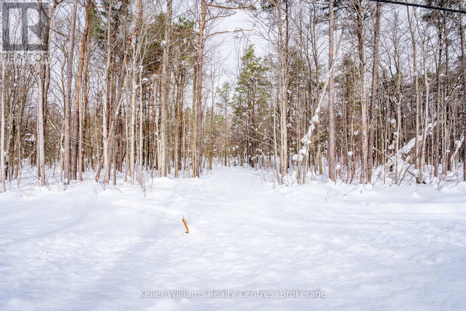 Lot 16 Grey Road 17, Georgian Bluffs, Ontario N0H 2T0 - Photo 6 - X12763134