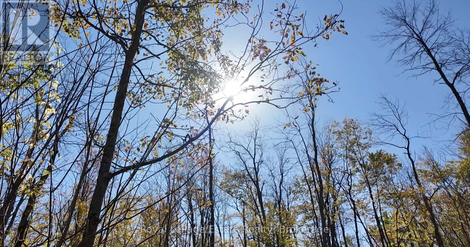 Pt Lt 36 & Pt Lt 37 13 Concession, Arran-Elderslie, Ontario N0H 1A0 - Photo 3 - X12790270