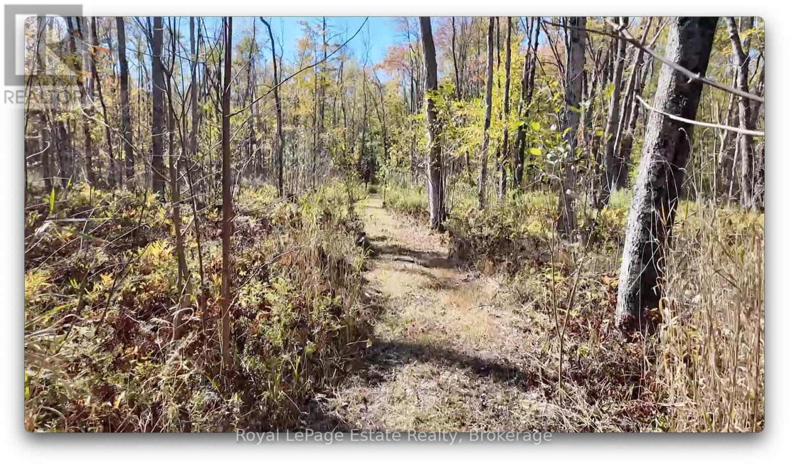 Pt Lt 36 & Pt Lt 37 13 Concession, Arran-Elderslie, Ontario N0H 1A0 - Photo 6 - X12790270