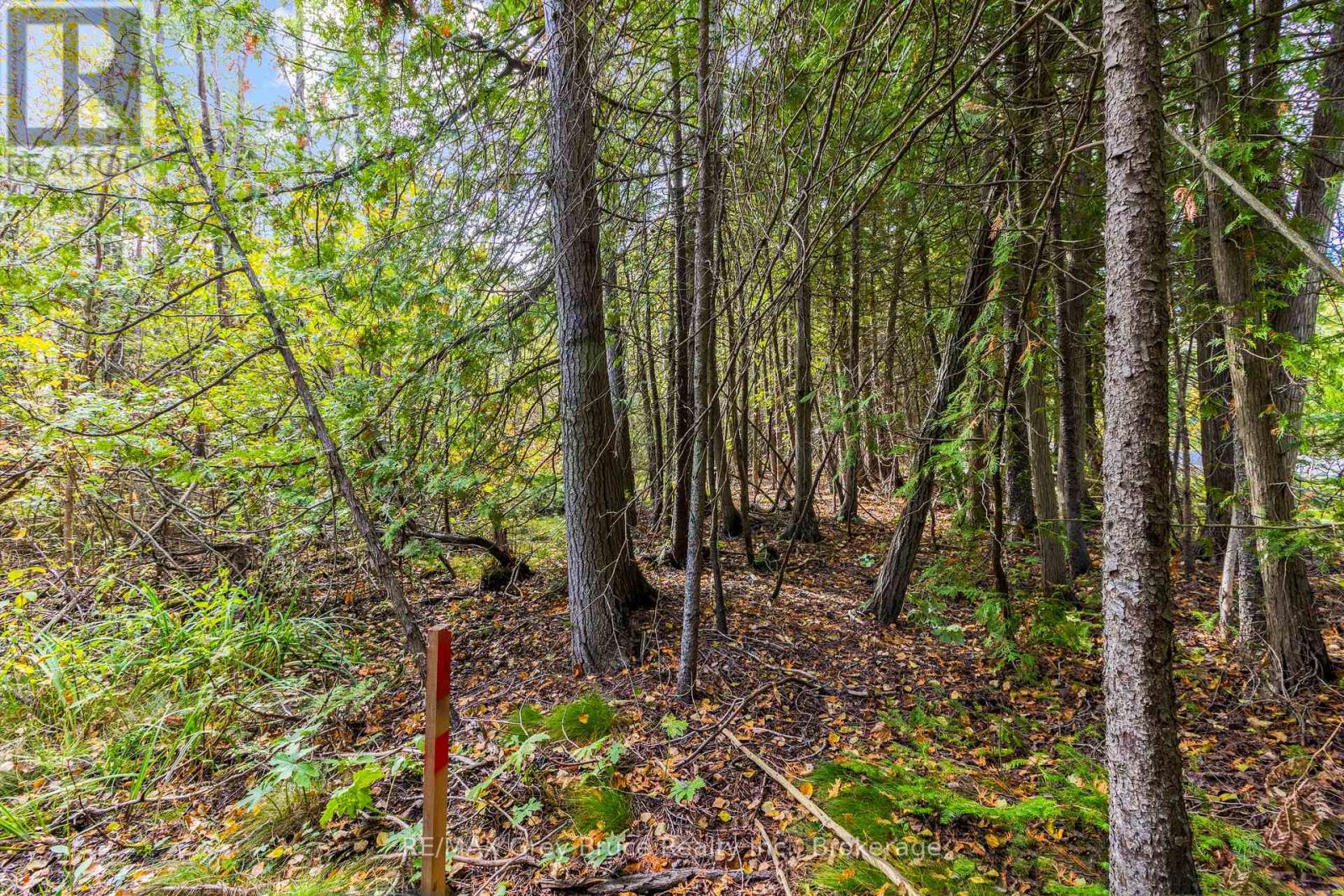Fm Lt 4 Nicholas Street, Northern Bruce Peninsula, Ontario N0H 2R0 - Photo 3 - X12806214