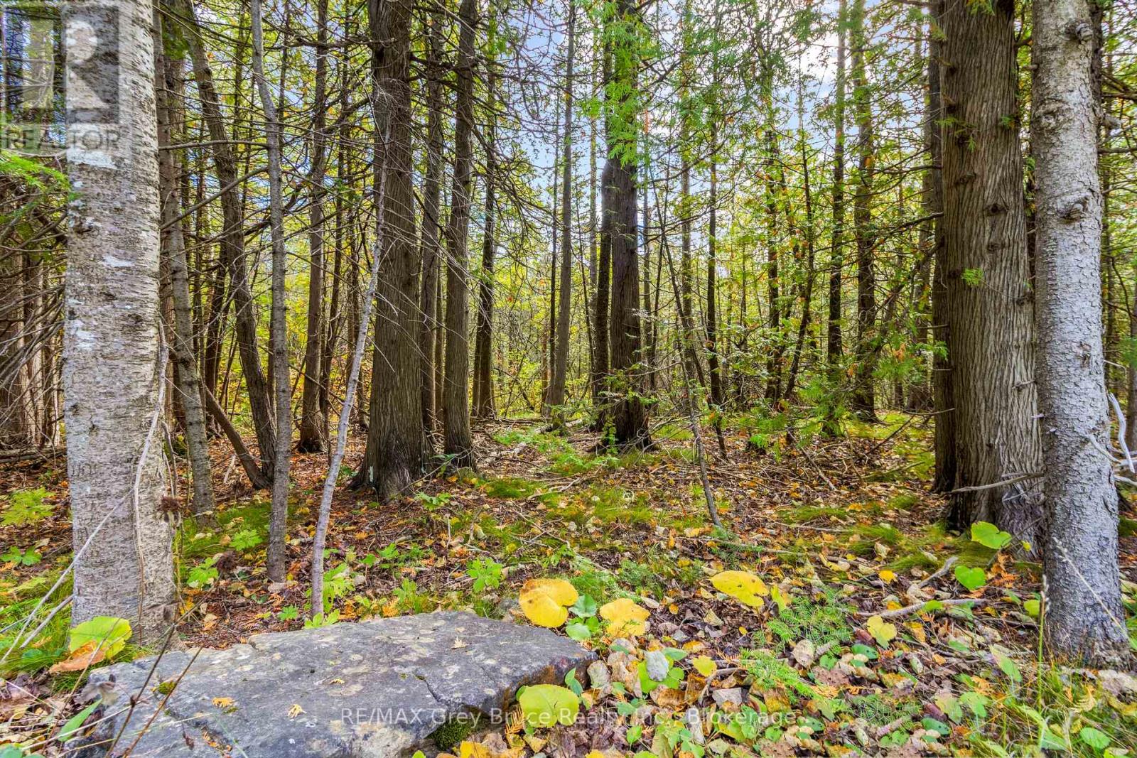 Fm Lt 4 Nicholas Street, Northern Bruce Peninsula, Ontario N0H 2R0 - Photo 4 - X12806214