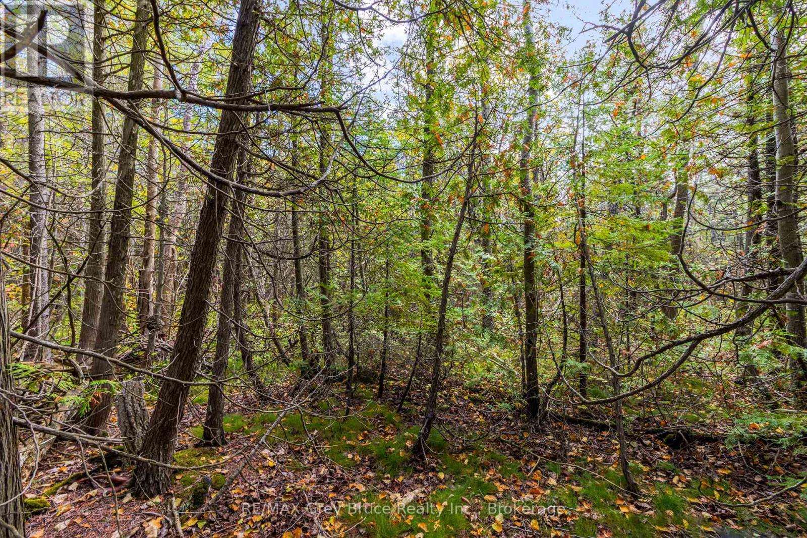 Fm Lt 4 Nicholas Street, Northern Bruce Peninsula, Ontario N0H 2R0 - Photo 6 - X12806214