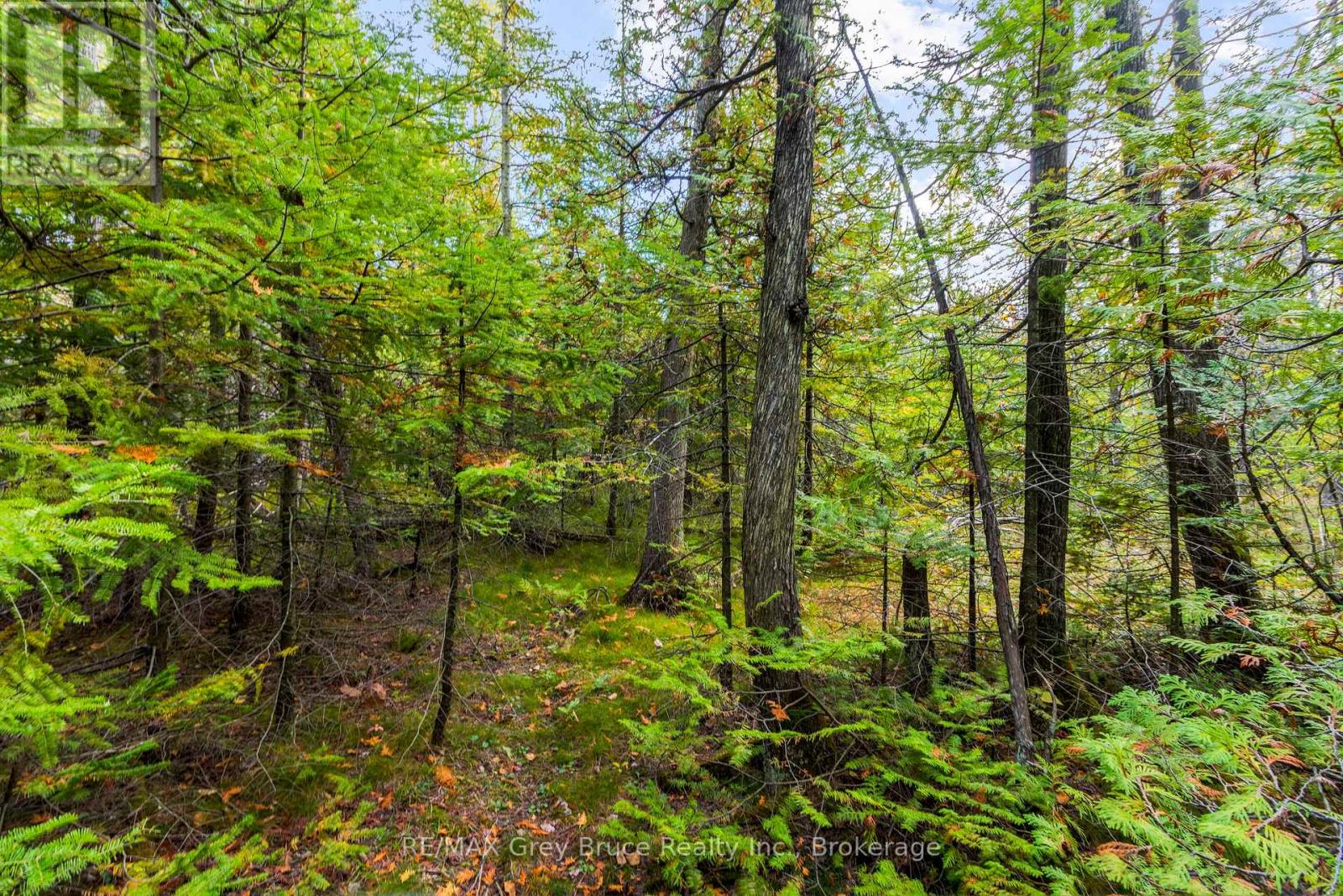 Fm Lt 4 Nicholas Street, Northern Bruce Peninsula, Ontario N0H 2R0 - Photo 8 - X12806214