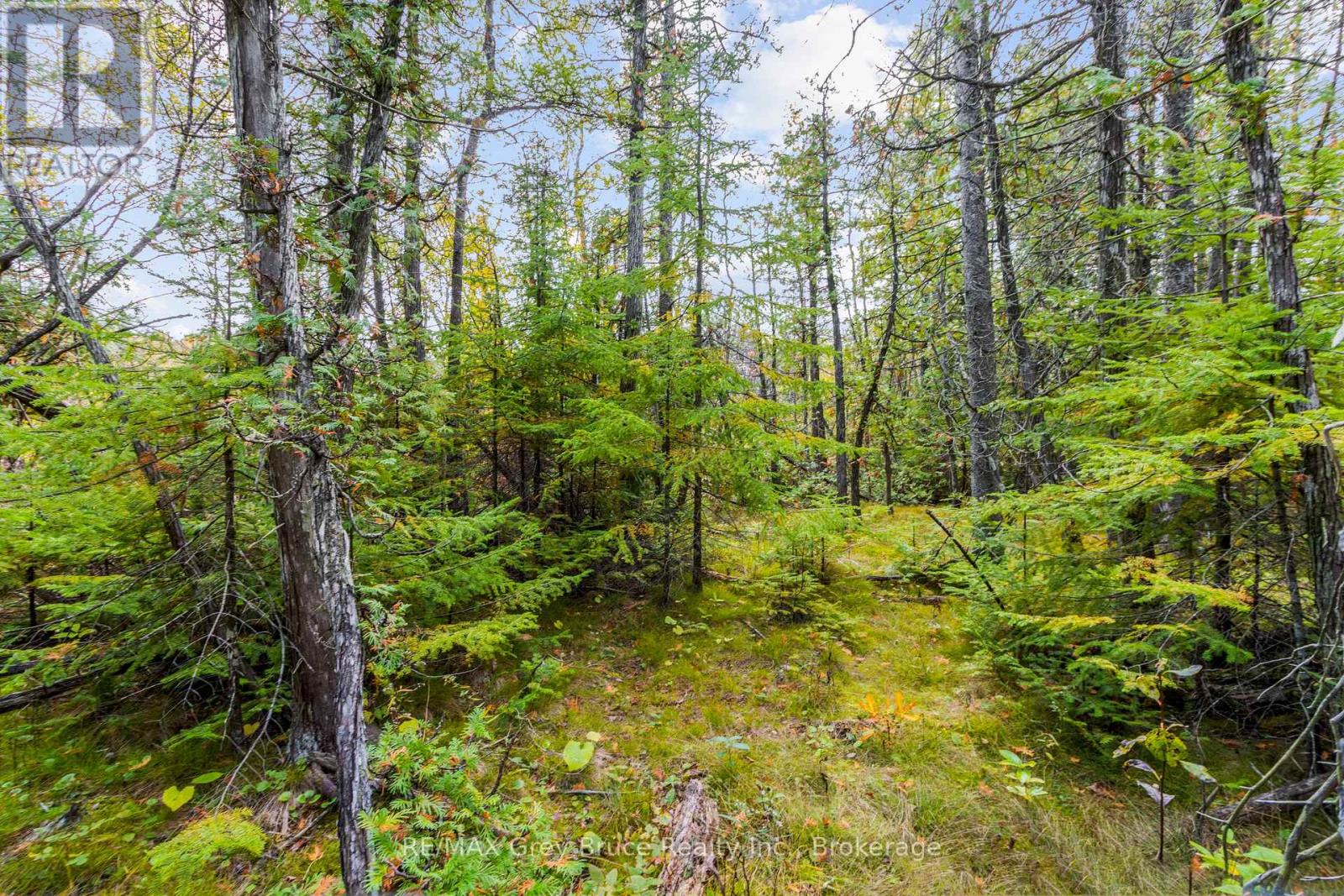 Fm Lt 4 Nicholas Street, Northern Bruce Peninsula, Ontario N0H 2R0 - Photo 9 - X12806214
