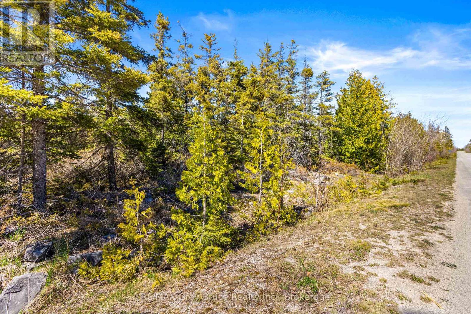 Pt Fm Lt 4 Chi Sin Tib Dek Road, Northern Bruce Peninsula, Ontario N0H 2R0 - Photo 6 - X12806308