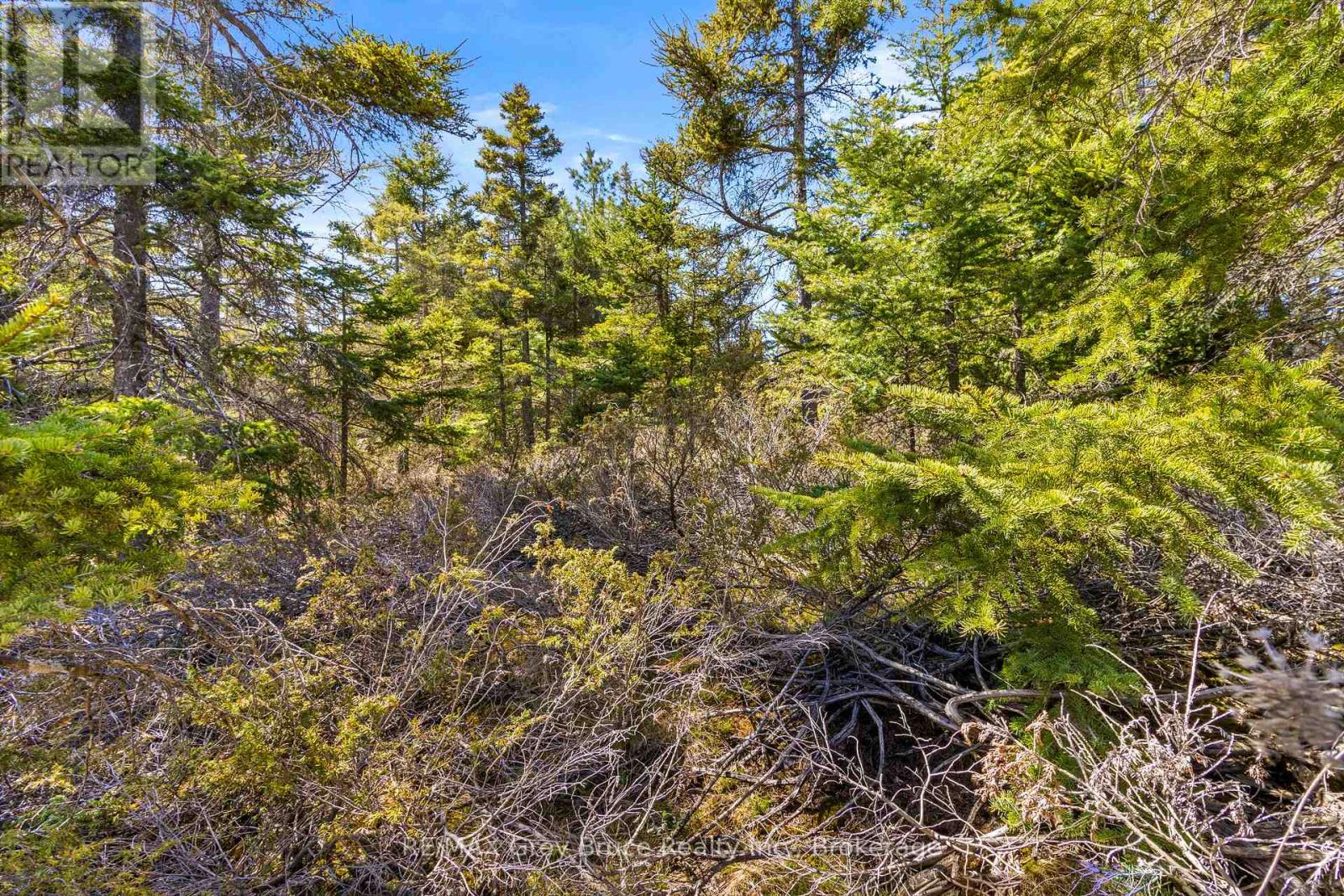 Pt Fm Lt 4 Chi Sin Tib Dek Road, Northern Bruce Peninsula, Ontario N0H 2R0 - Photo 7 - X12806308