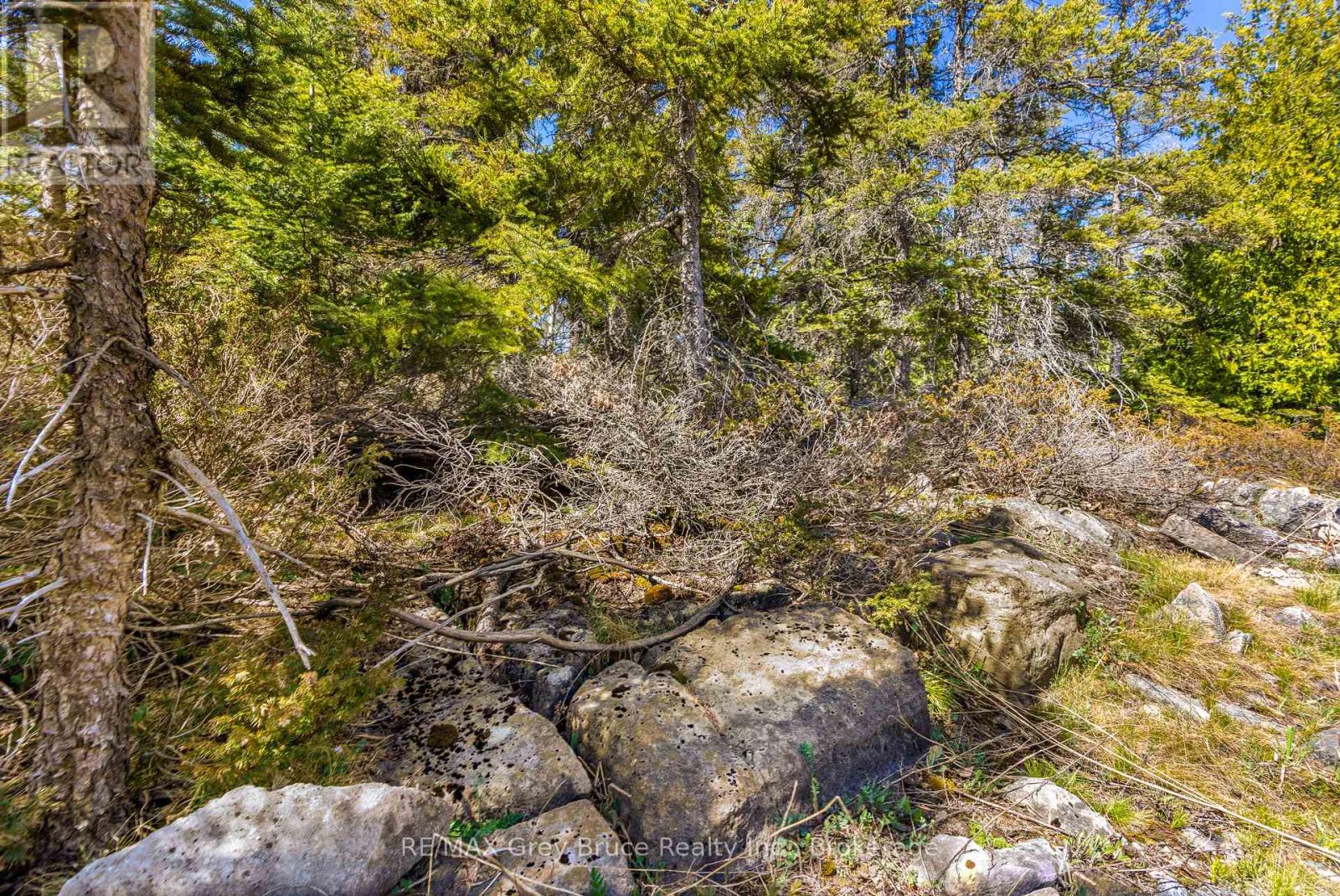 Pt Fm Lt 4 Chi Sin Tib Dek Road, Northern Bruce Peninsula, Ontario N0H 2R0 - Photo 8 - X12806308