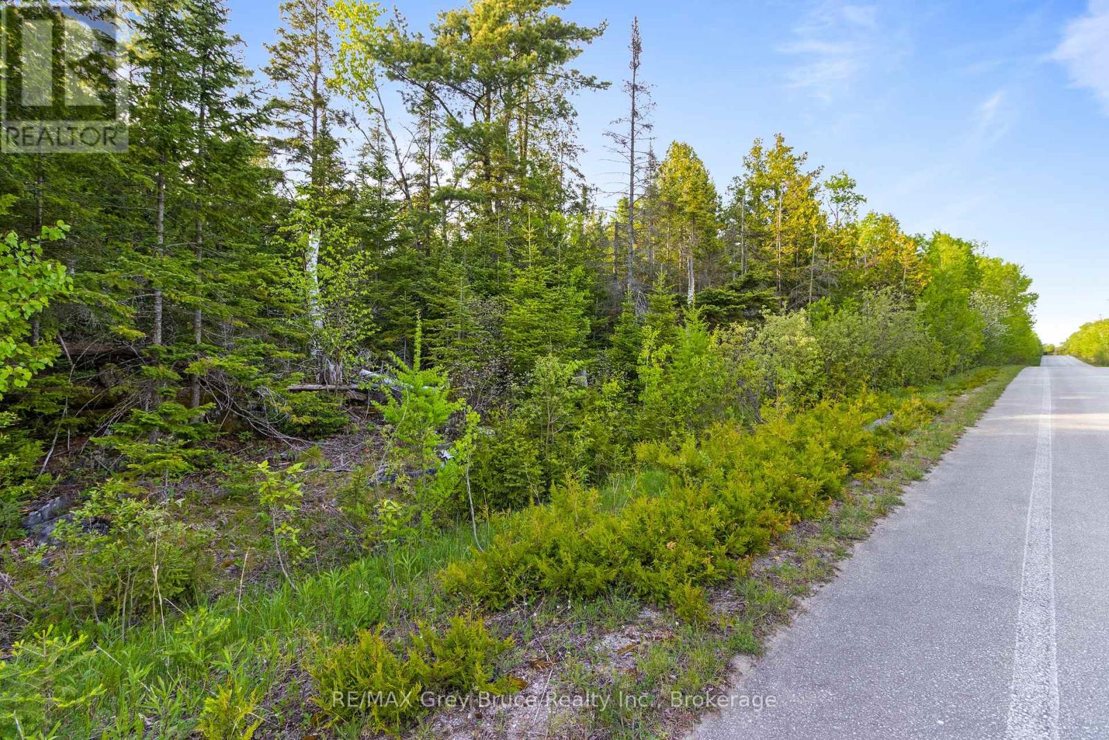 Part Farm Lot 4 Chi Sin Tib Dek Road, Northern Bruce Peninsula, Ontario N0H 2R0 - Photo 5 - X12806974