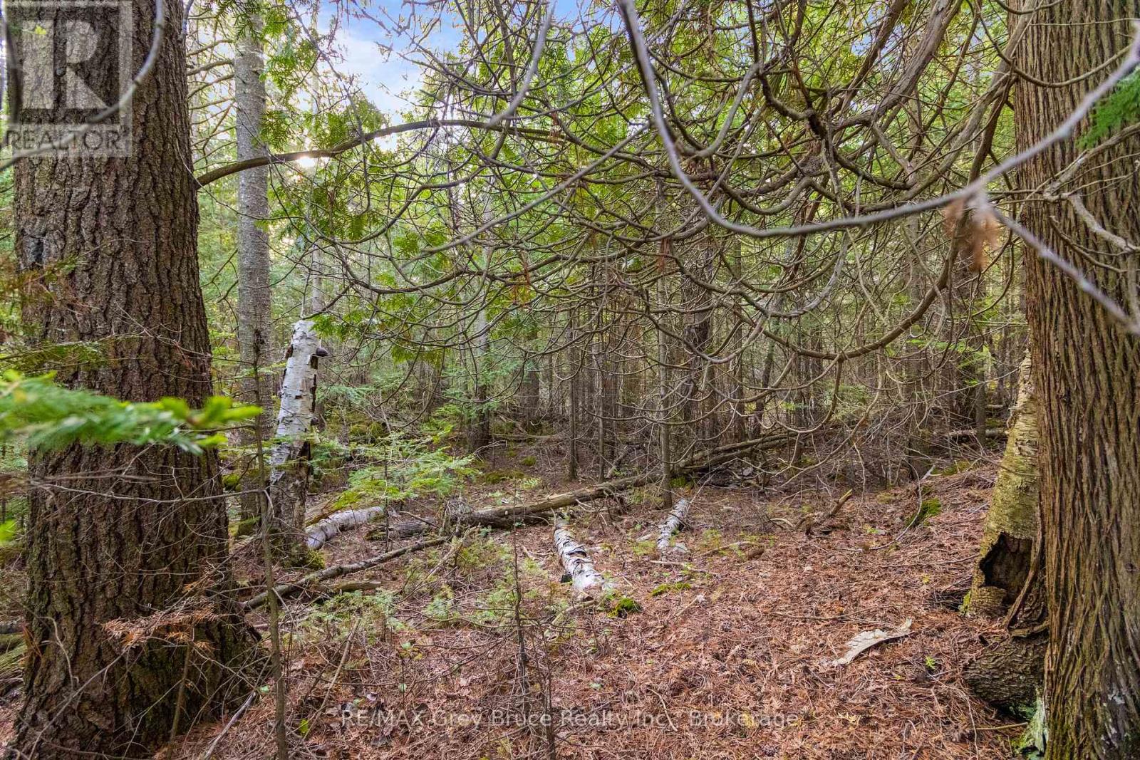 Part Farm Lot 4 Chi Sin Tib Dek Road, Northern Bruce Peninsula, Ontario N0H 2R0 - Photo 6 - X12806974