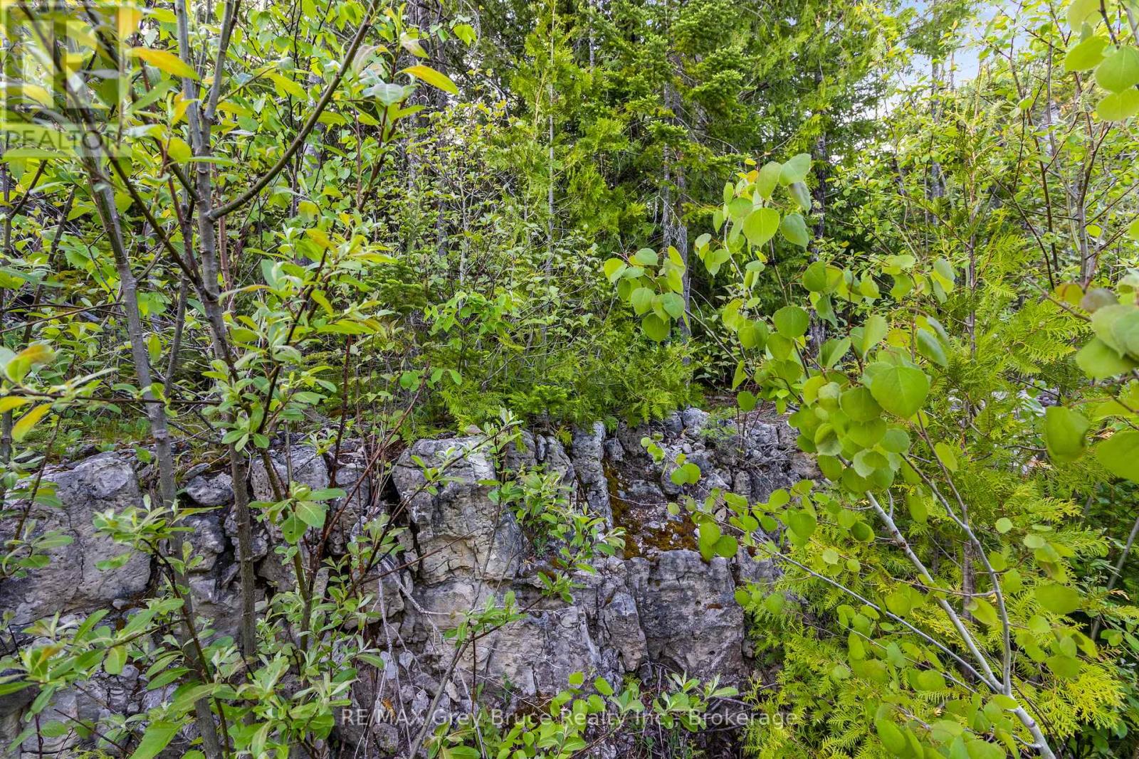 Part Farm Lot 4 Chi Sin Tib Dek Road, Northern Bruce Peninsula, Ontario N0H 2R0 - Photo 7 - X12806974