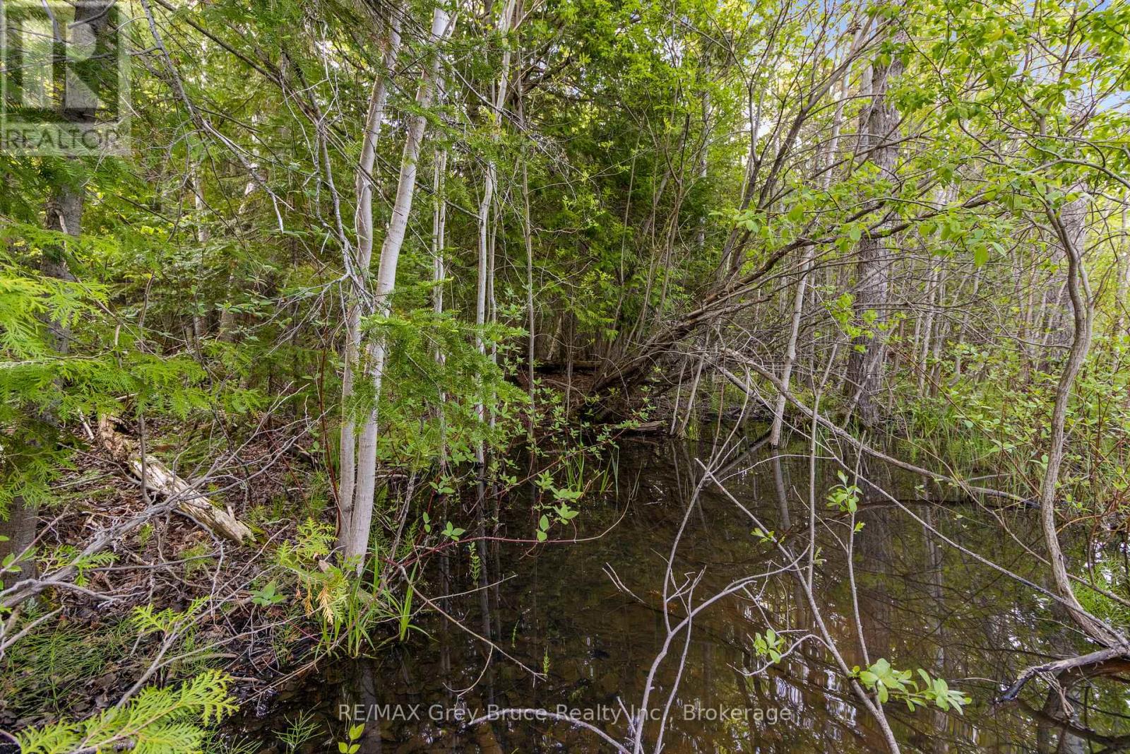 Part Farm Lot 4 Chi Sin Tib Dek Road, Northern Bruce Peninsula, Ontario N0H 2R0 - Photo 8 - X12806974