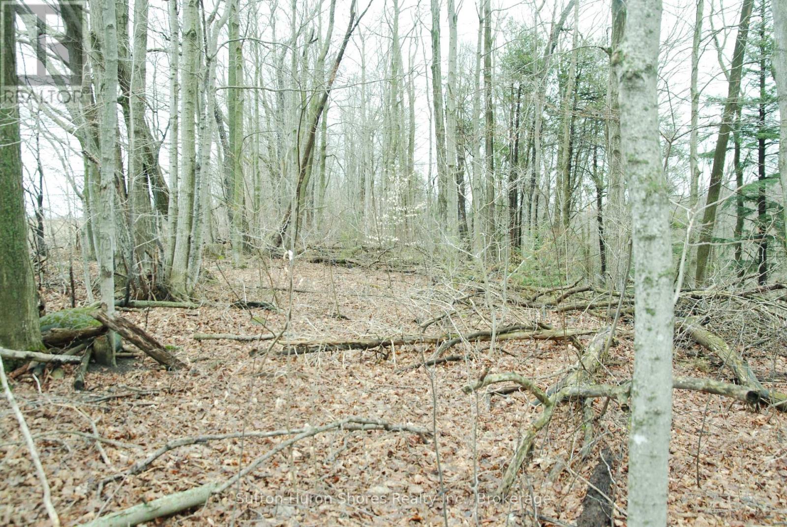 0 Bartley Side Road, Saugeen Shores, Ontario N0H 2C6 - Photo 7 - X12843046
