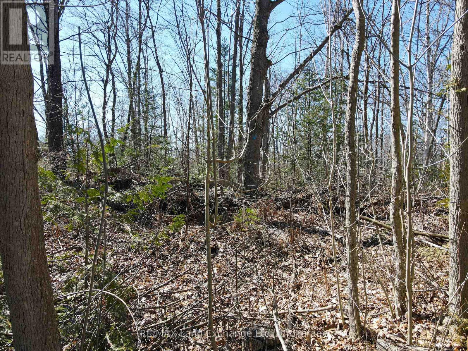 83 Silver Lake Crescent, South Bruce Peninsula, Ontario N0H 2G0 - Photo 3 - X12860084