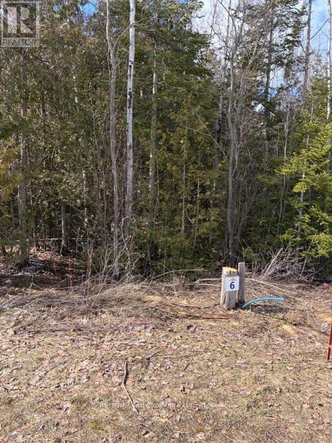 11 Lakeside Woods Crescent, Saugeen Shores, Ontario N0H 2C0 - Photo 1 - X12877946