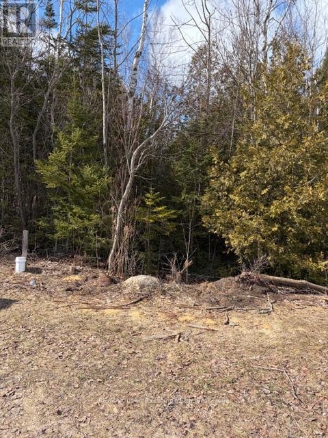 11 Lakeside Woods Crescent, Saugeen Shores, Ontario N0H 2C0 - Photo 2 - X12877946