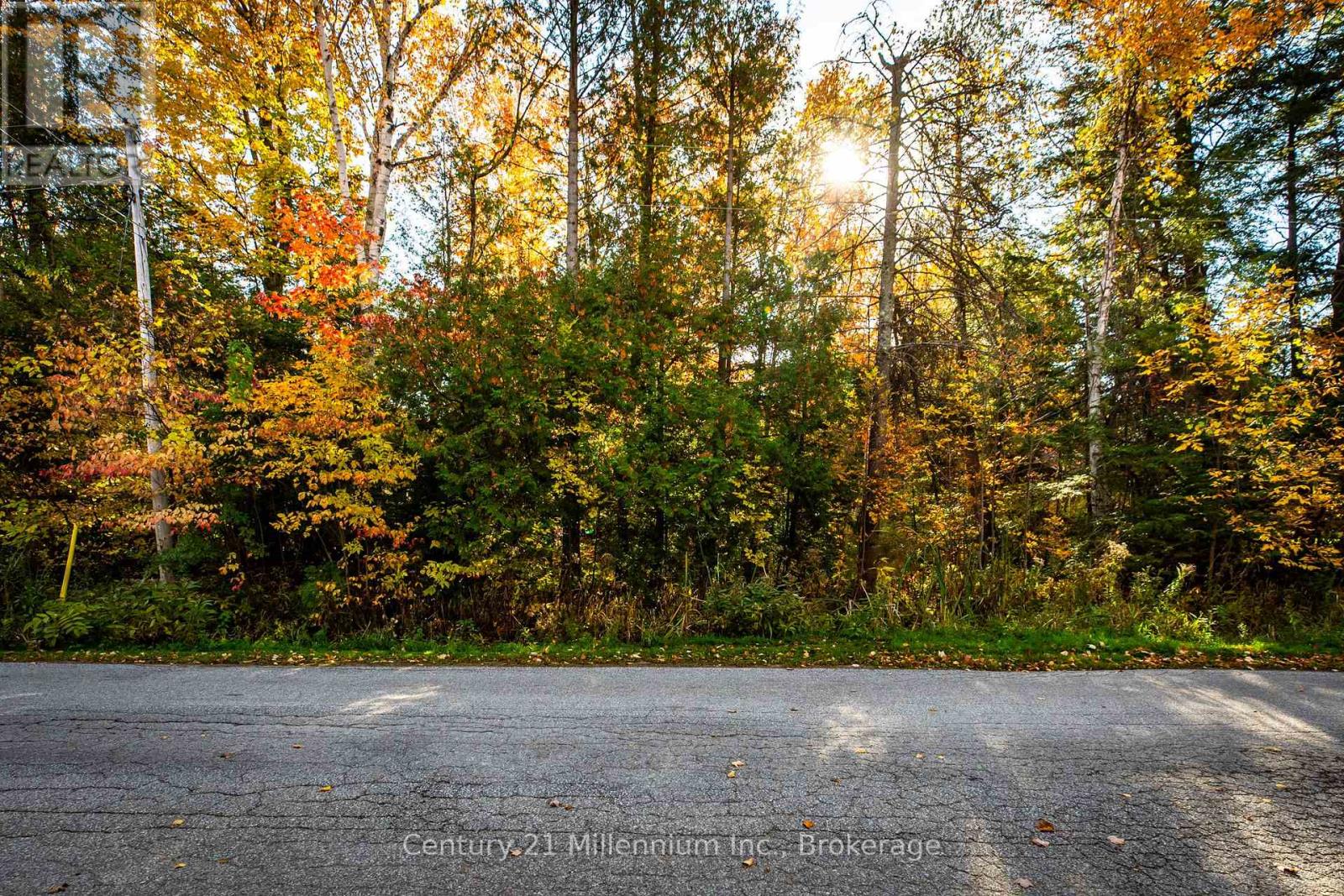 Lot 35 Jay Street, Saugeen Shores, Ontario N0H 2C5 - Photo 5 - X12914184