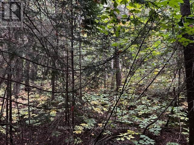 4 SHORE ROAD, Saugeen Shores, Ontario