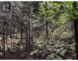 4 SHORE ROAD, Saugeen Shores, Ontario