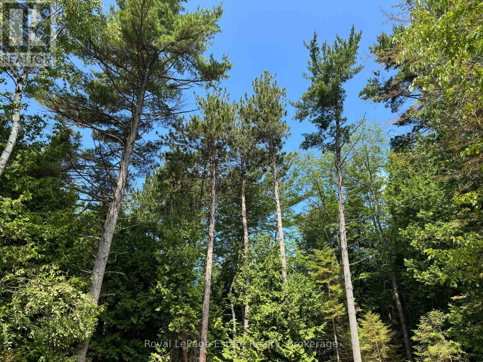 234 Ogimah Road, Native Leased Lands, Ontario N0H 2G0 - Photo 9 - X12953272