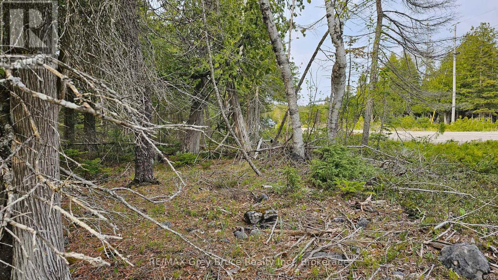Lt 255 Pedwell Pt. Drive, Northern Bruce Peninsula, Ontario N0H 2R0 - Photo 4 - X12962310