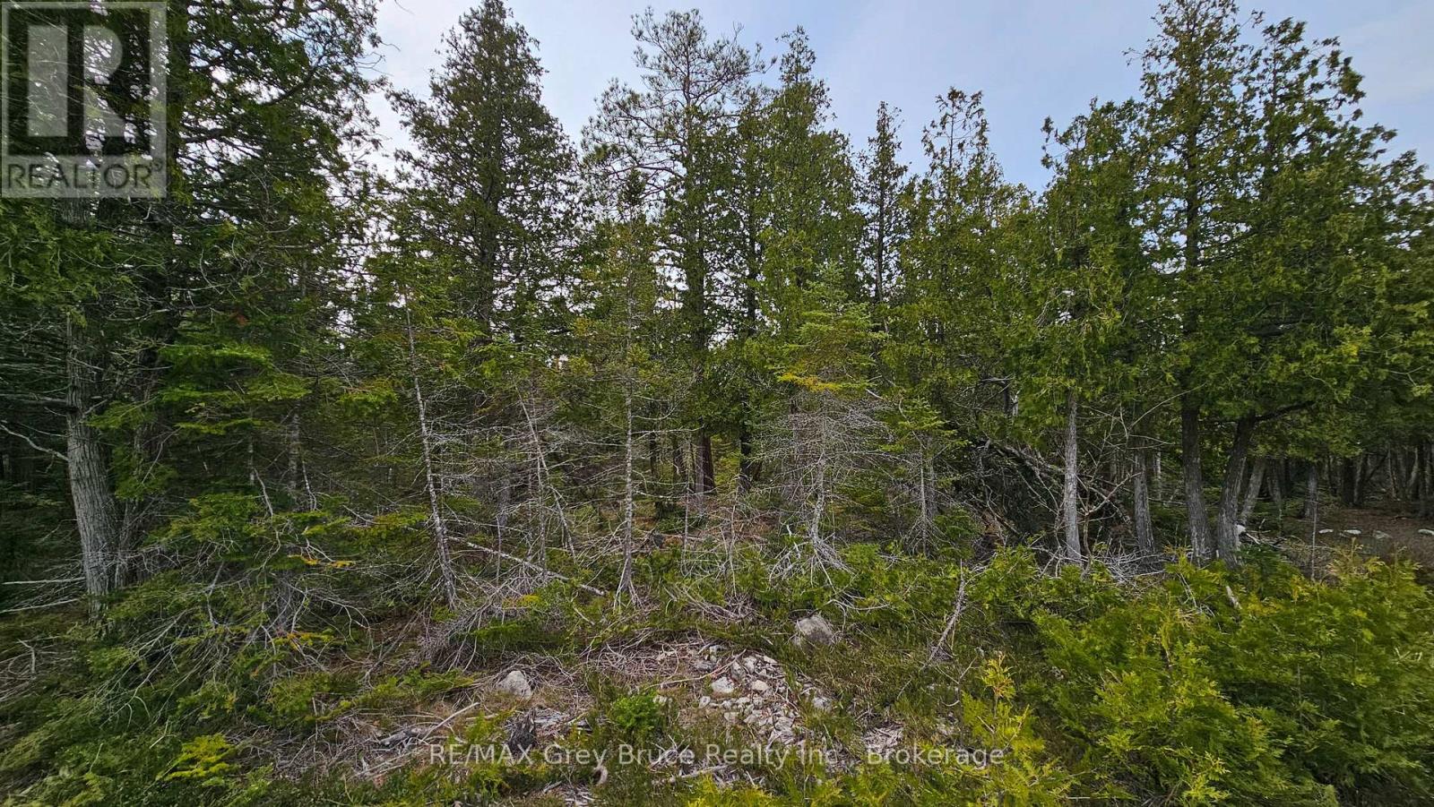 Lt 255 Pedwell Pt. Drive, Northern Bruce Peninsula, Ontario N0H 2R0 - Photo 9 - X12962310