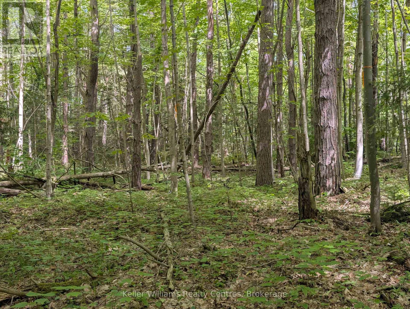 590-608 Huron Road, South Bruce Peninsula, Ontario N0H 2T0 - Photo 6 - X12965816