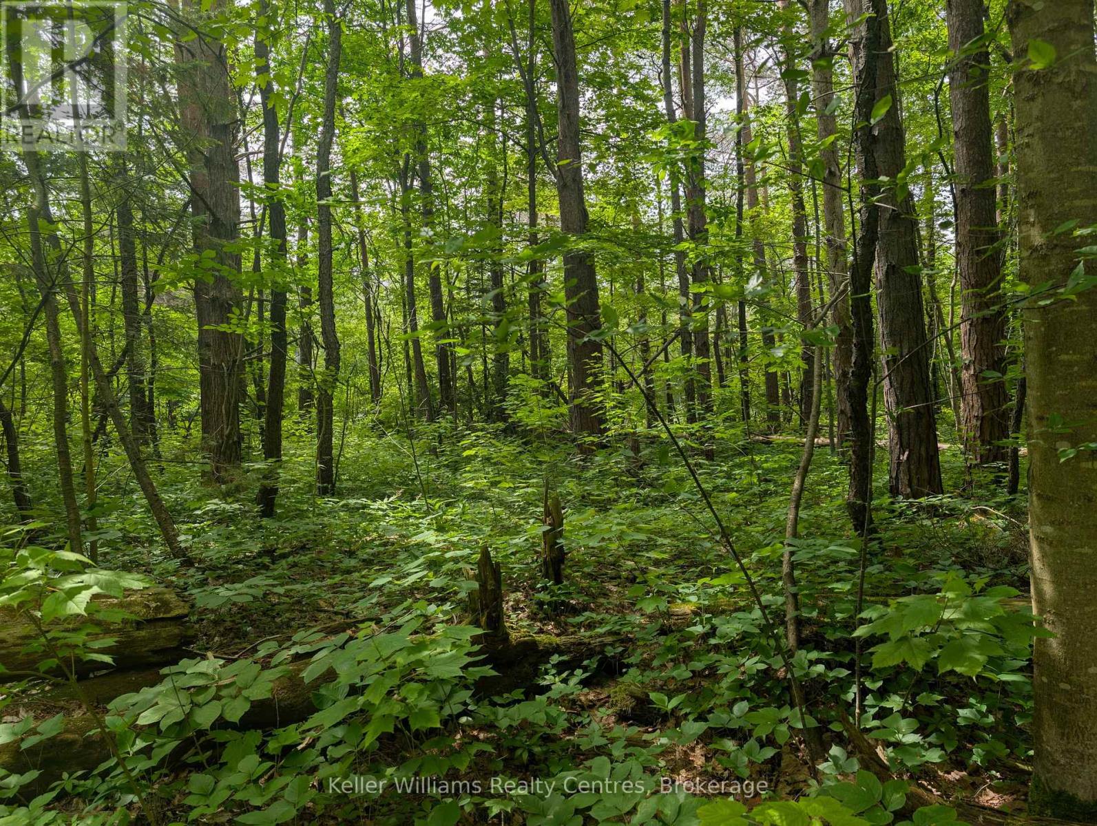 590-608 Huron Road, South Bruce Peninsula, Ontario N0H 2T0 - Photo 8 - X12965816