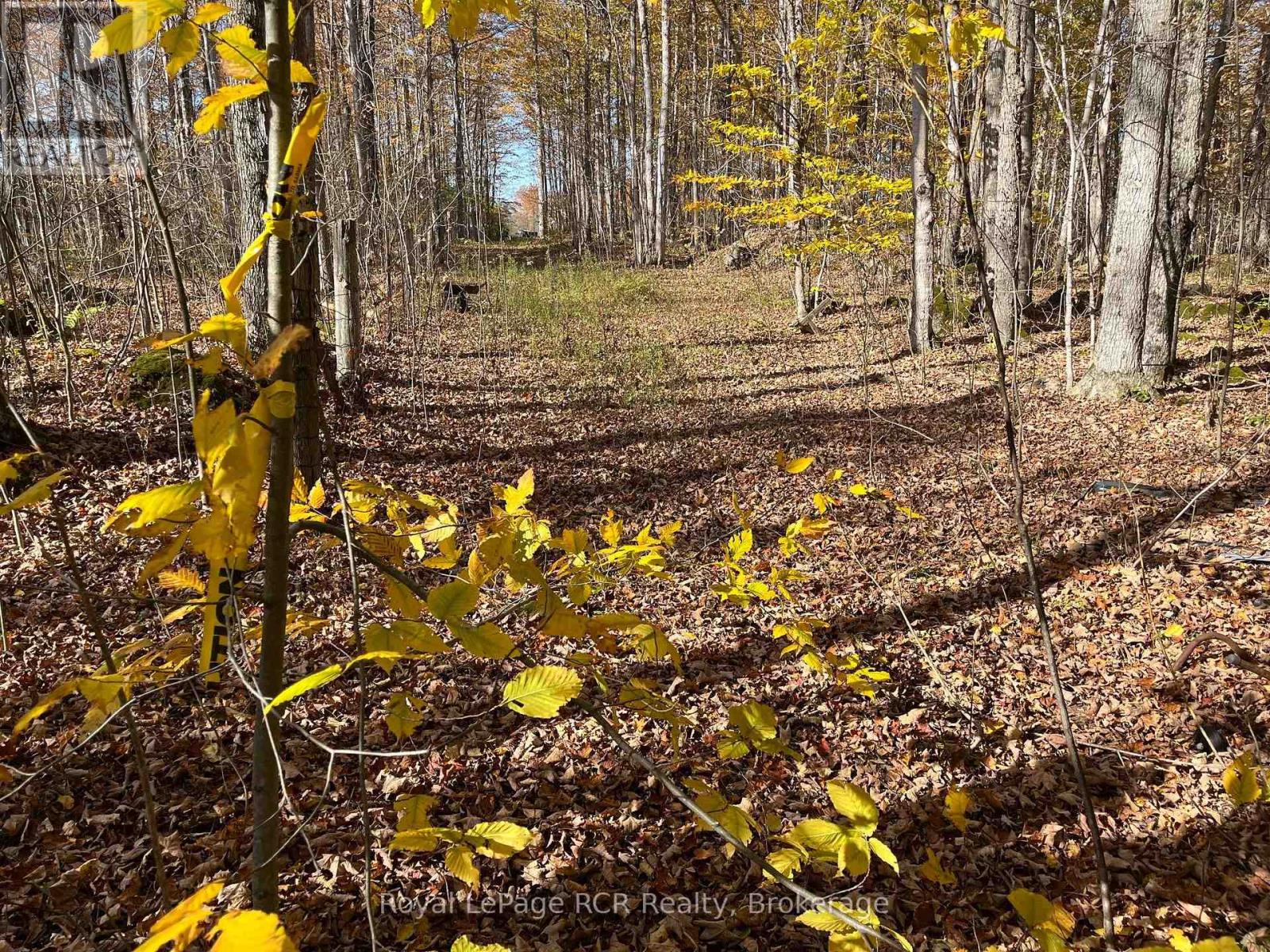 PART LOT 17 GREY ROAD 17 ROAD E, Georgian Bluffs, Ontario